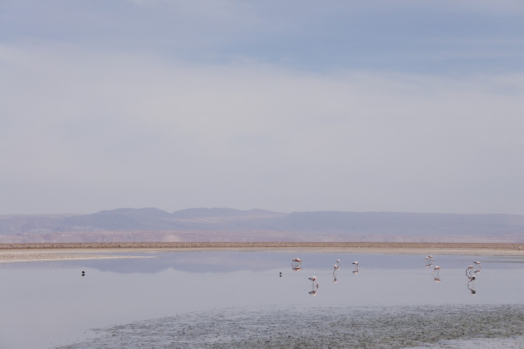 12. Januar - Atacama Wüste: Erkundungstour Süd