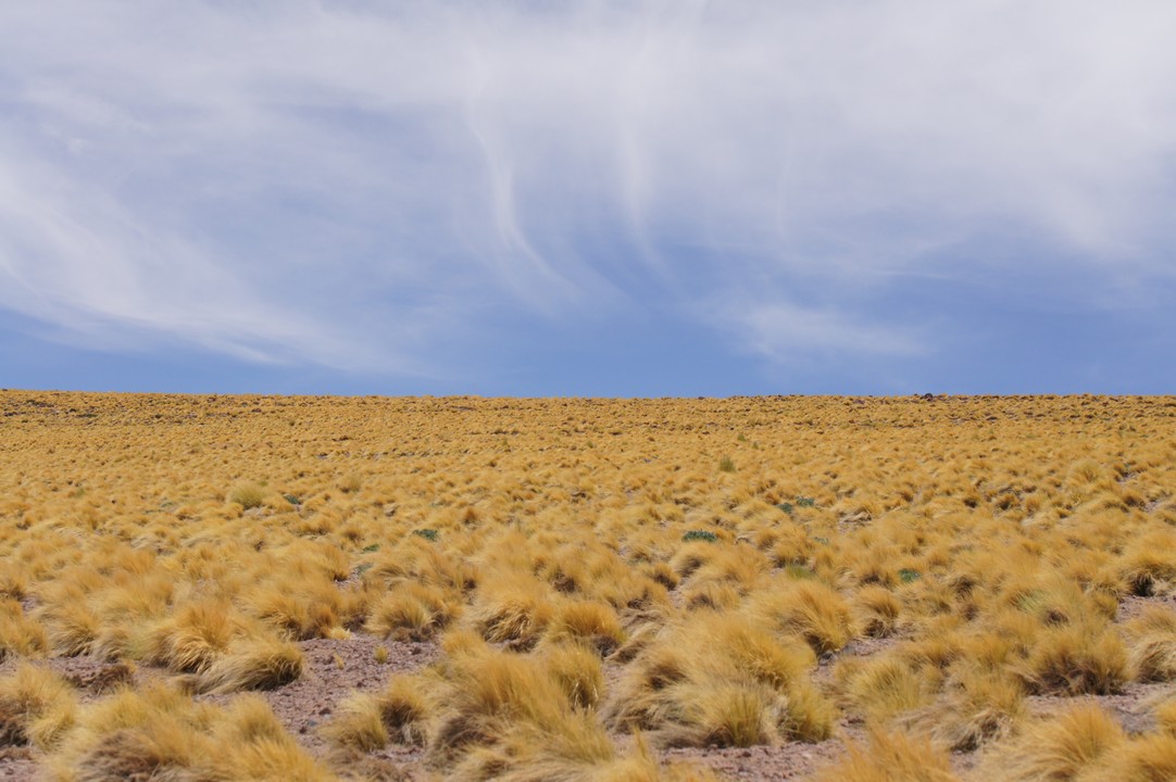 12. Januar - Atacama Wüste: Erkundungstour Süd