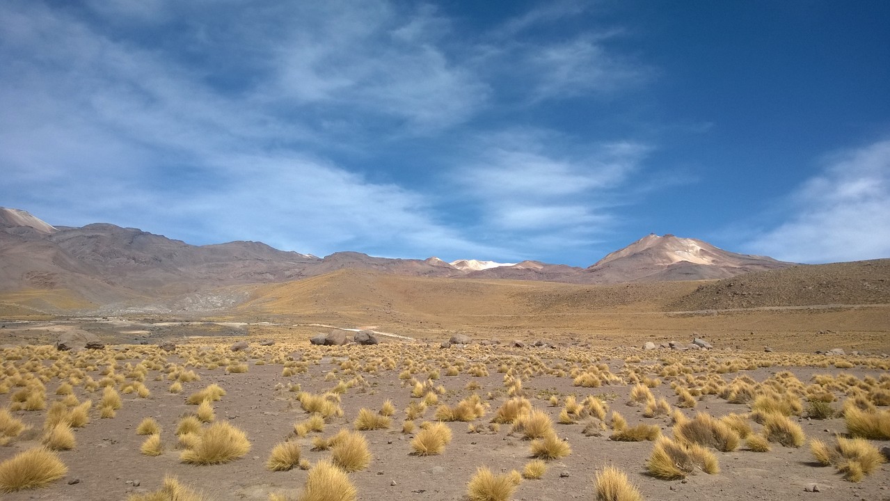 13. Januar - Atacama Wüste: Erkundungstour Nord