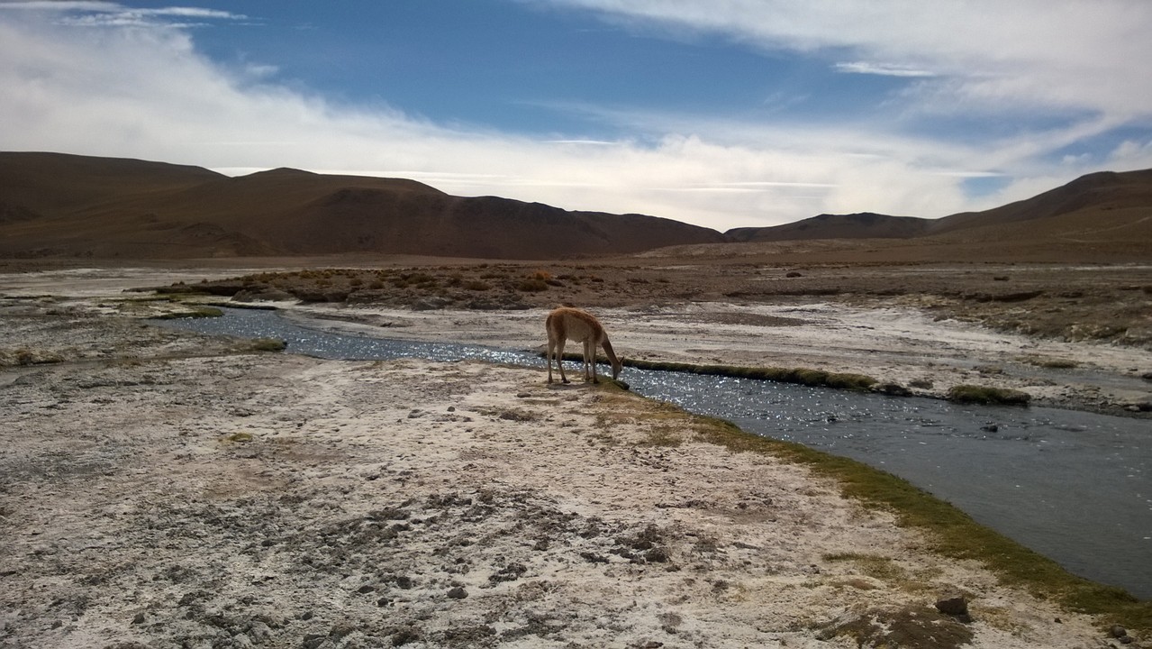 13. Januar - Atacama Wüste: Erkundungstour Nord