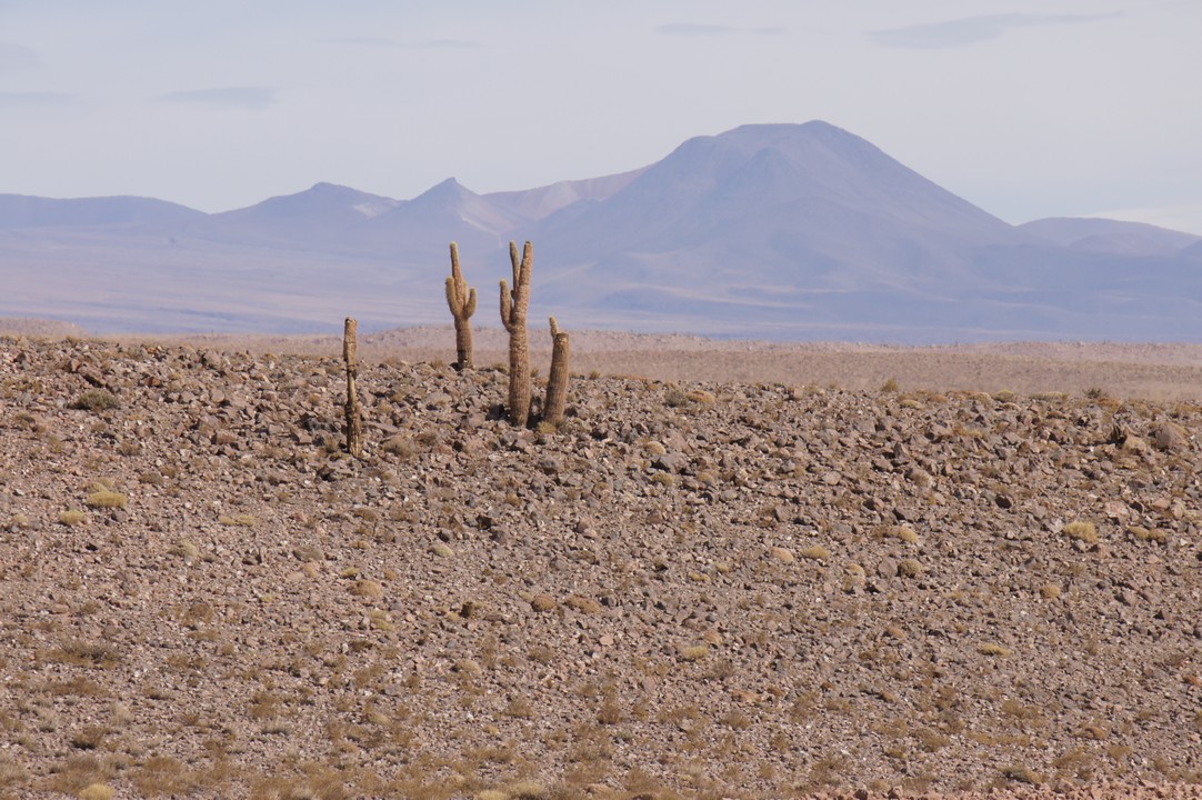 14. Januar - Nach Puerto Montt
