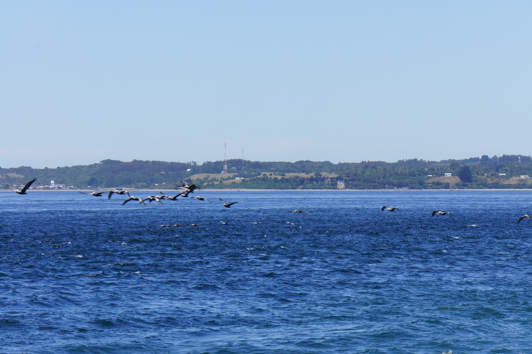 15. Januar - Besuch der Insel Chileo