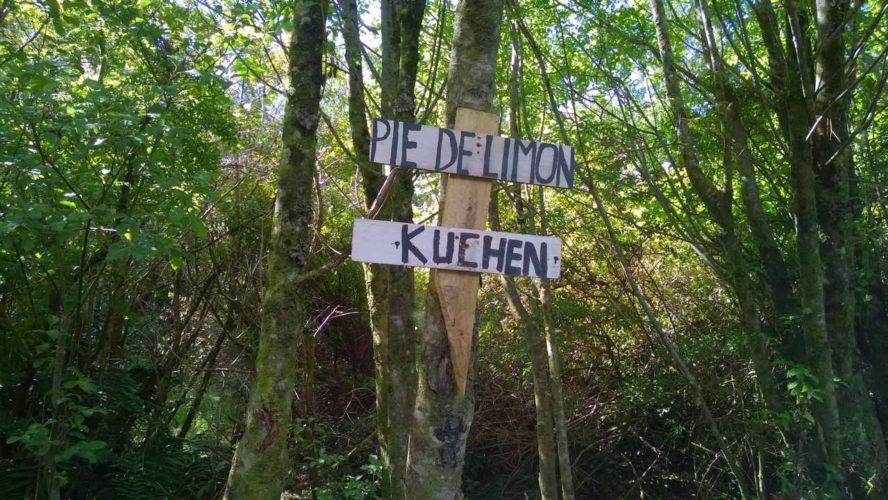 15. Januar - Besuch der Insel Chileo