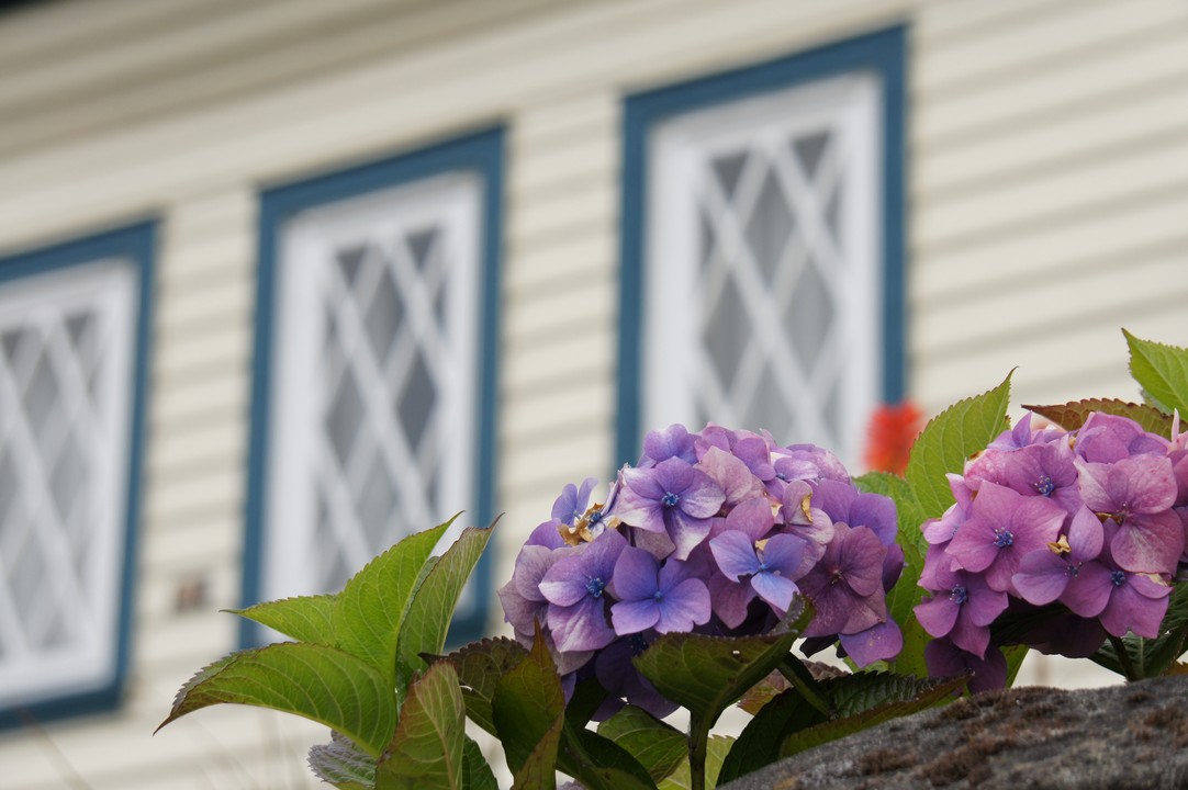 16. Januar - Rund um Puerto Montt