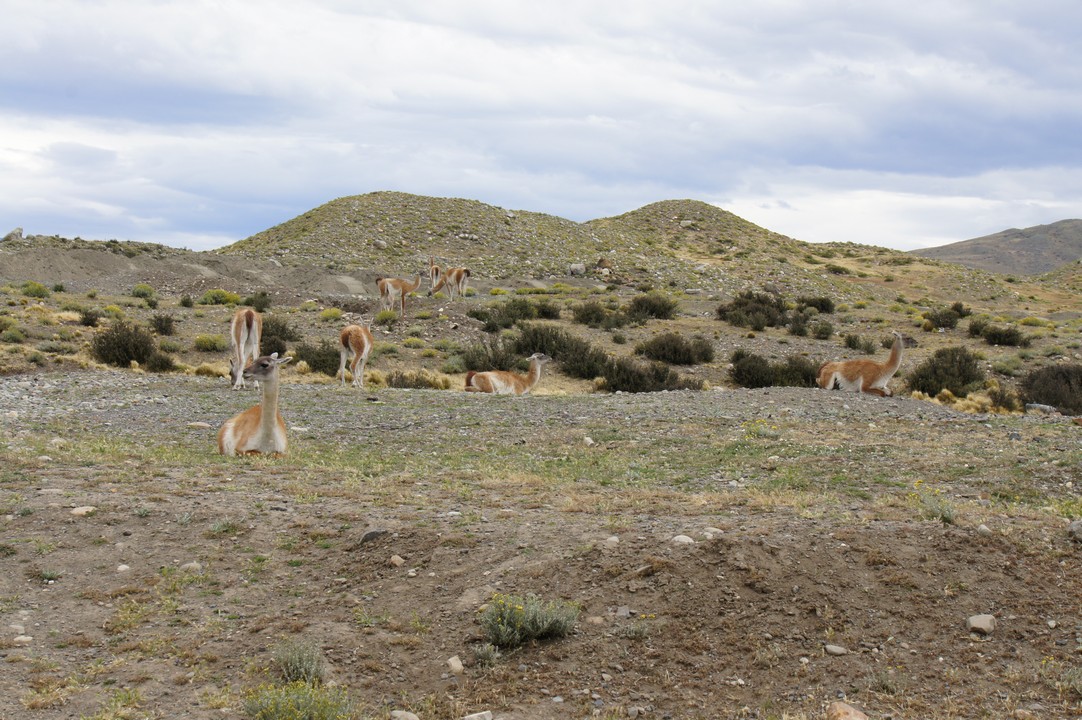 25. Januar - Wieder nach Chile