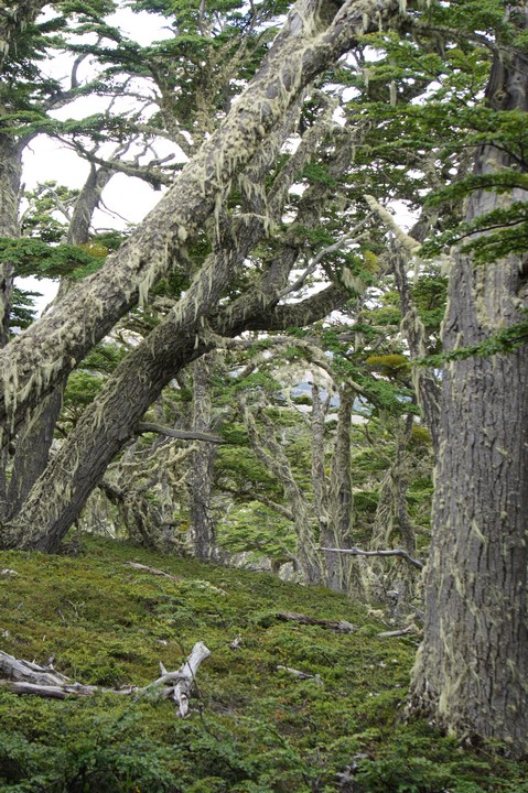 27. Januar - Nach Puerto Natales