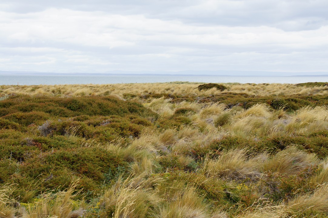 28. Januar - Punta Arenas