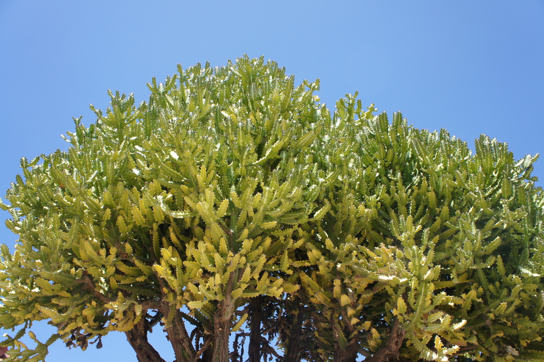 ... gab es recht viele...