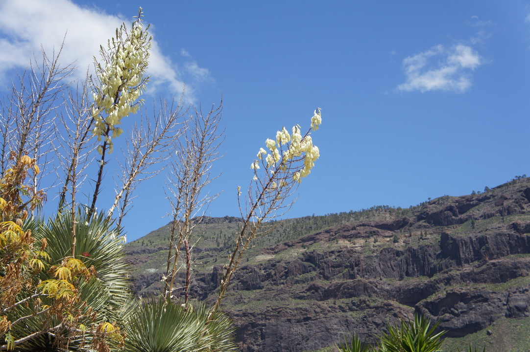 ... ist recht hüglig.