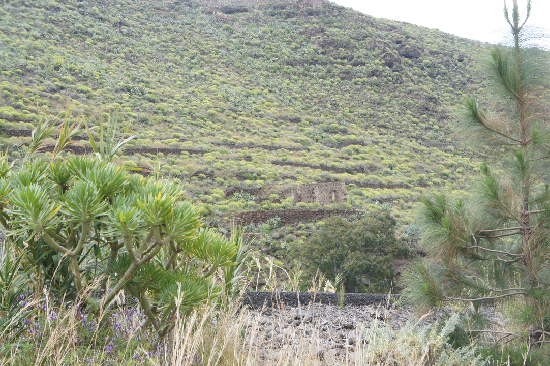 Umgebung von Agüimes