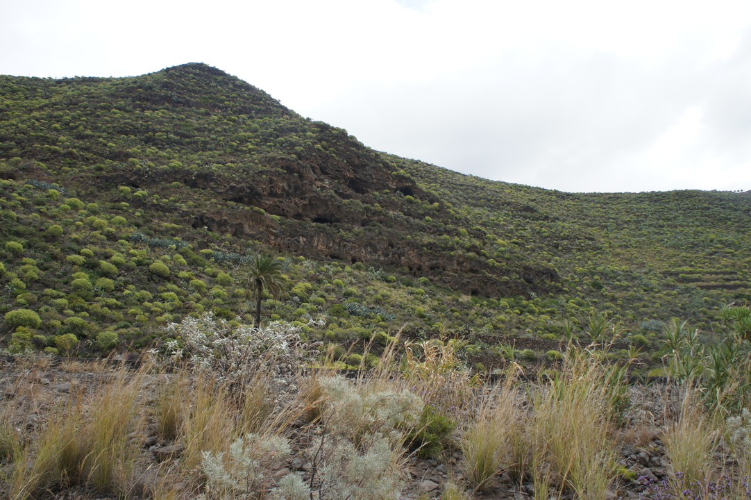 Leider nicht begehbare ...